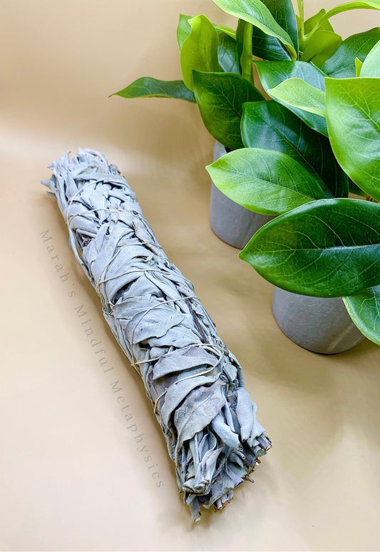 9” White Sage Smudge Stick (Cleansing)