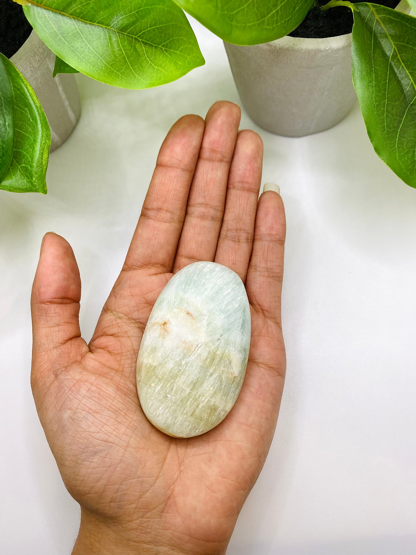 Caribbean Calcite Palm Stone