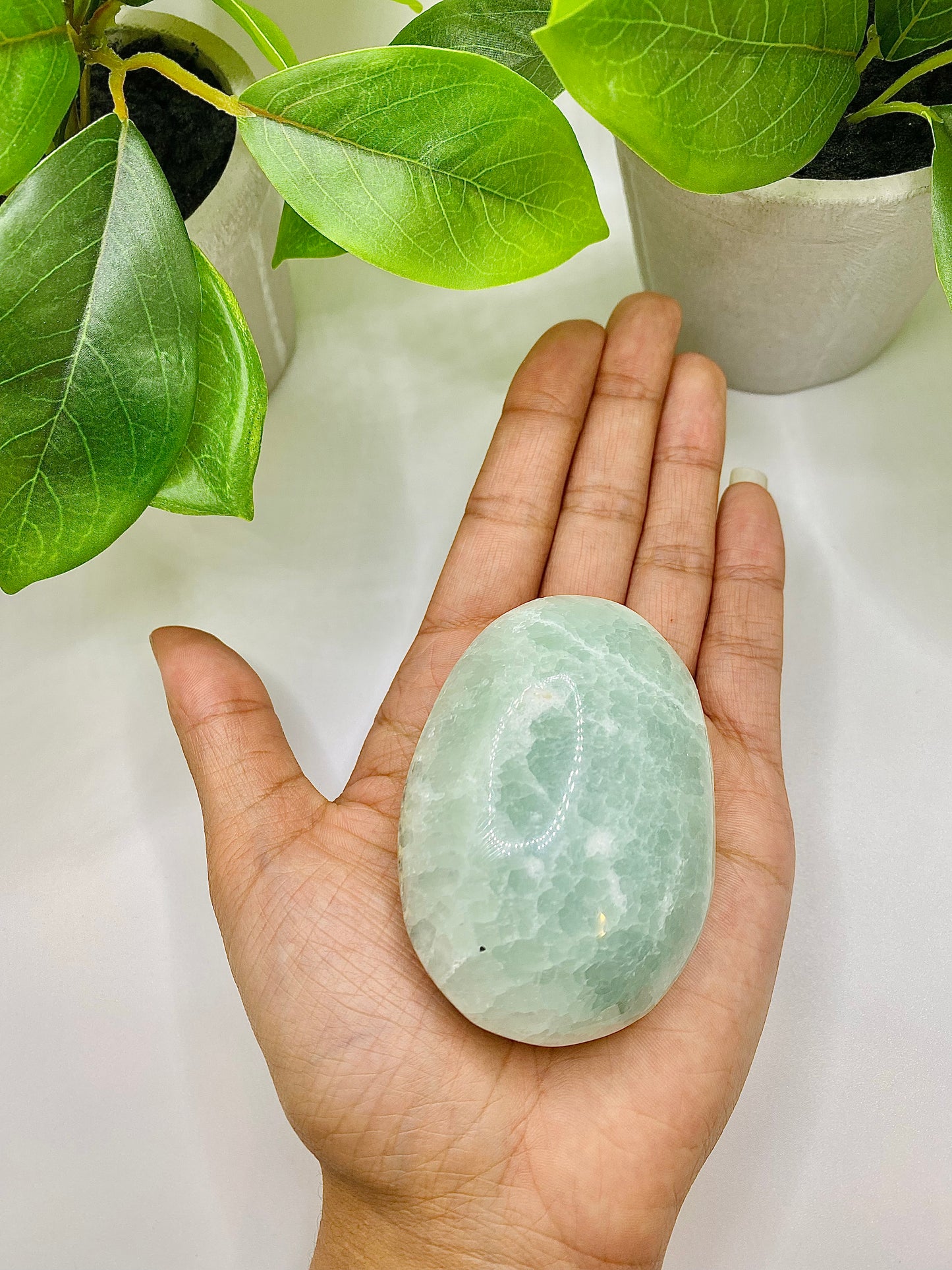 Caribbean Calcite Palm Stone