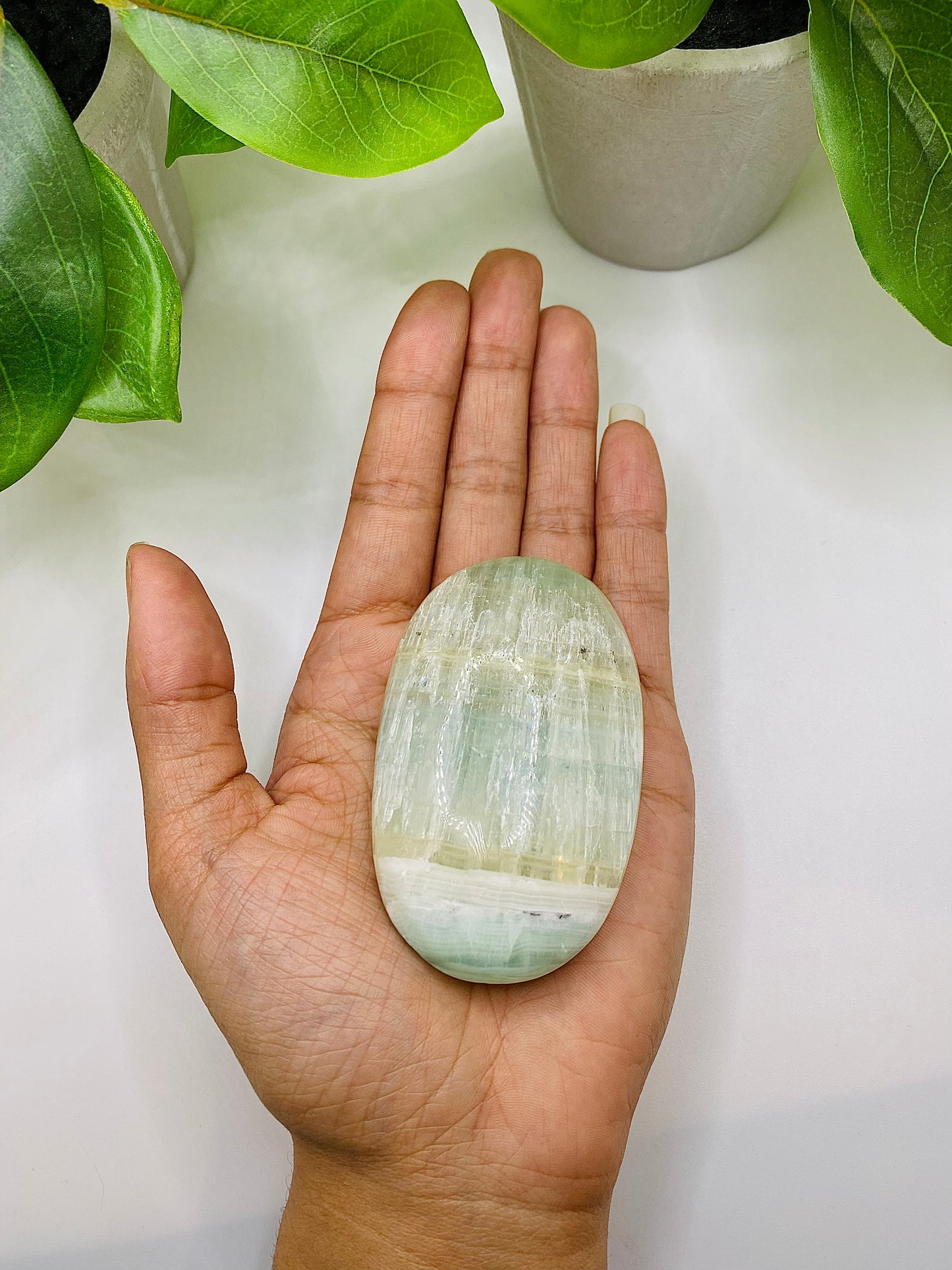 Caribbean Calcite Palm Stone