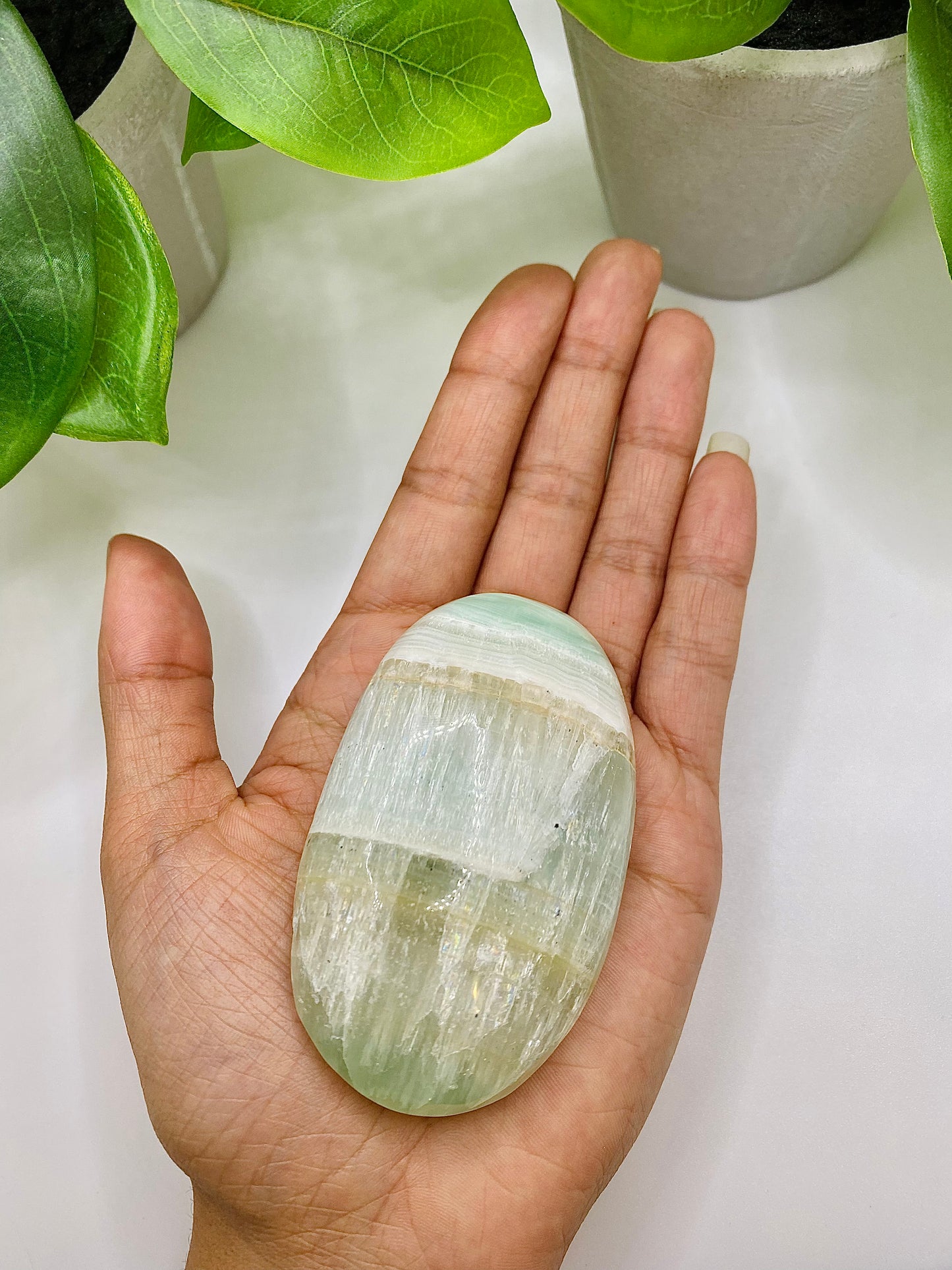 Caribbean Calcite Palm Stone