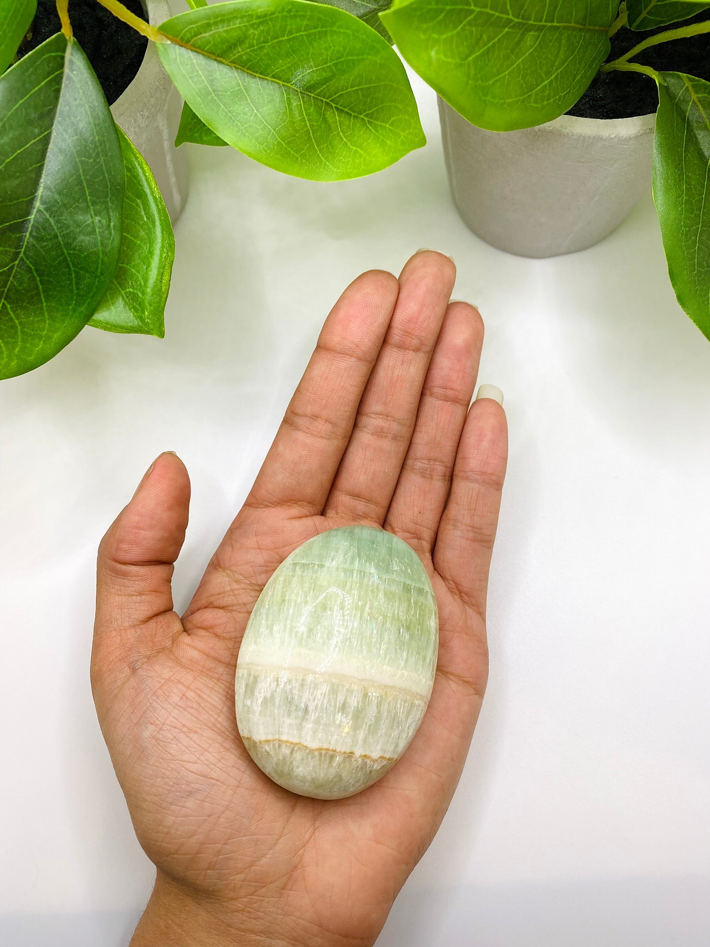 Caribbean Calcite Palm Stone