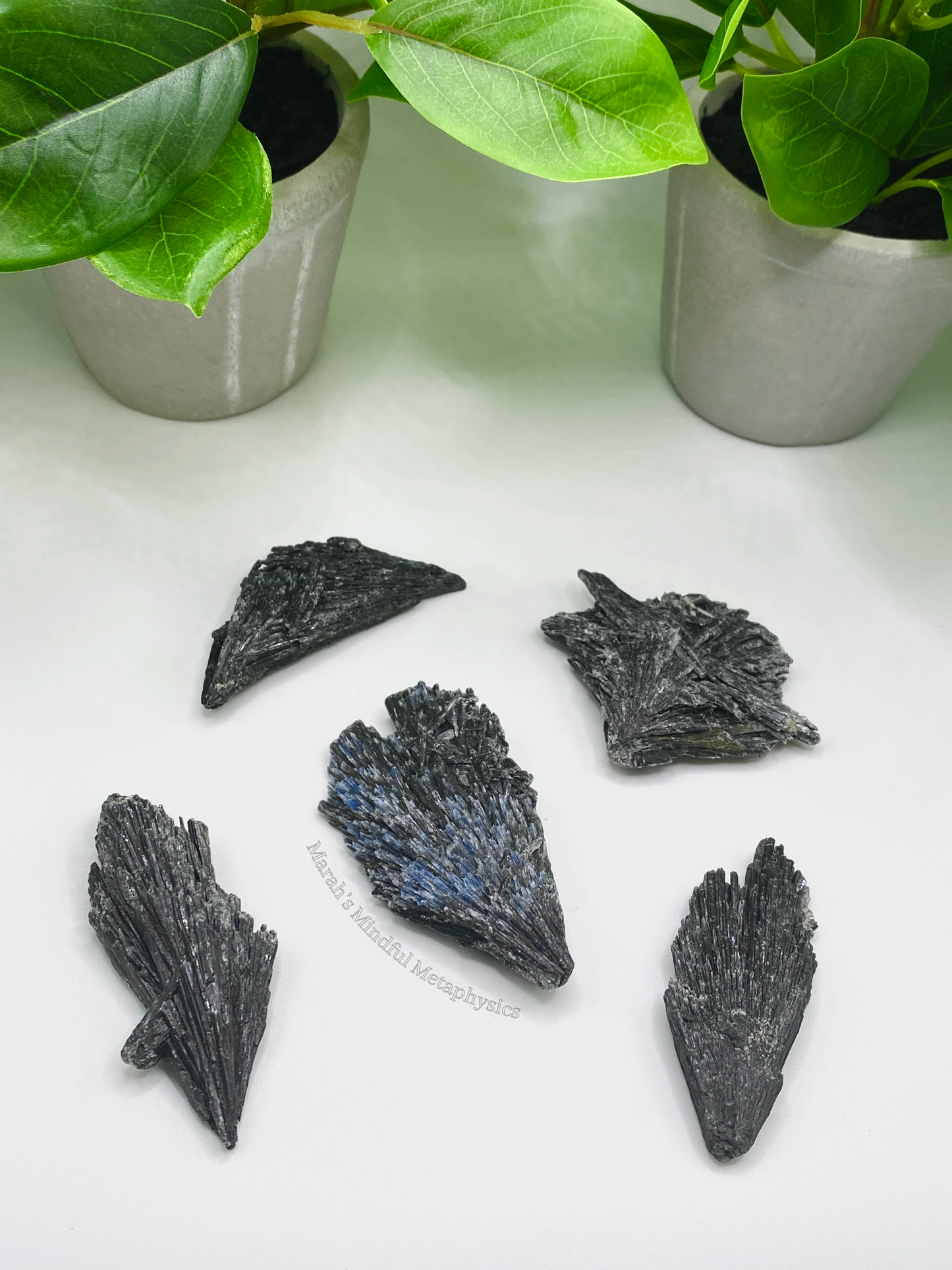 Raw Black Kyanite