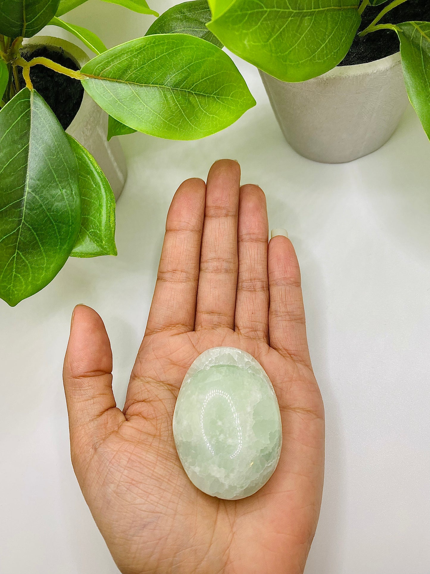 Caribbean Calcite Palm Stone