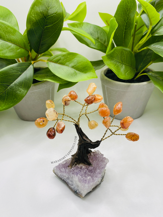 Gemstone Bonsai Trees