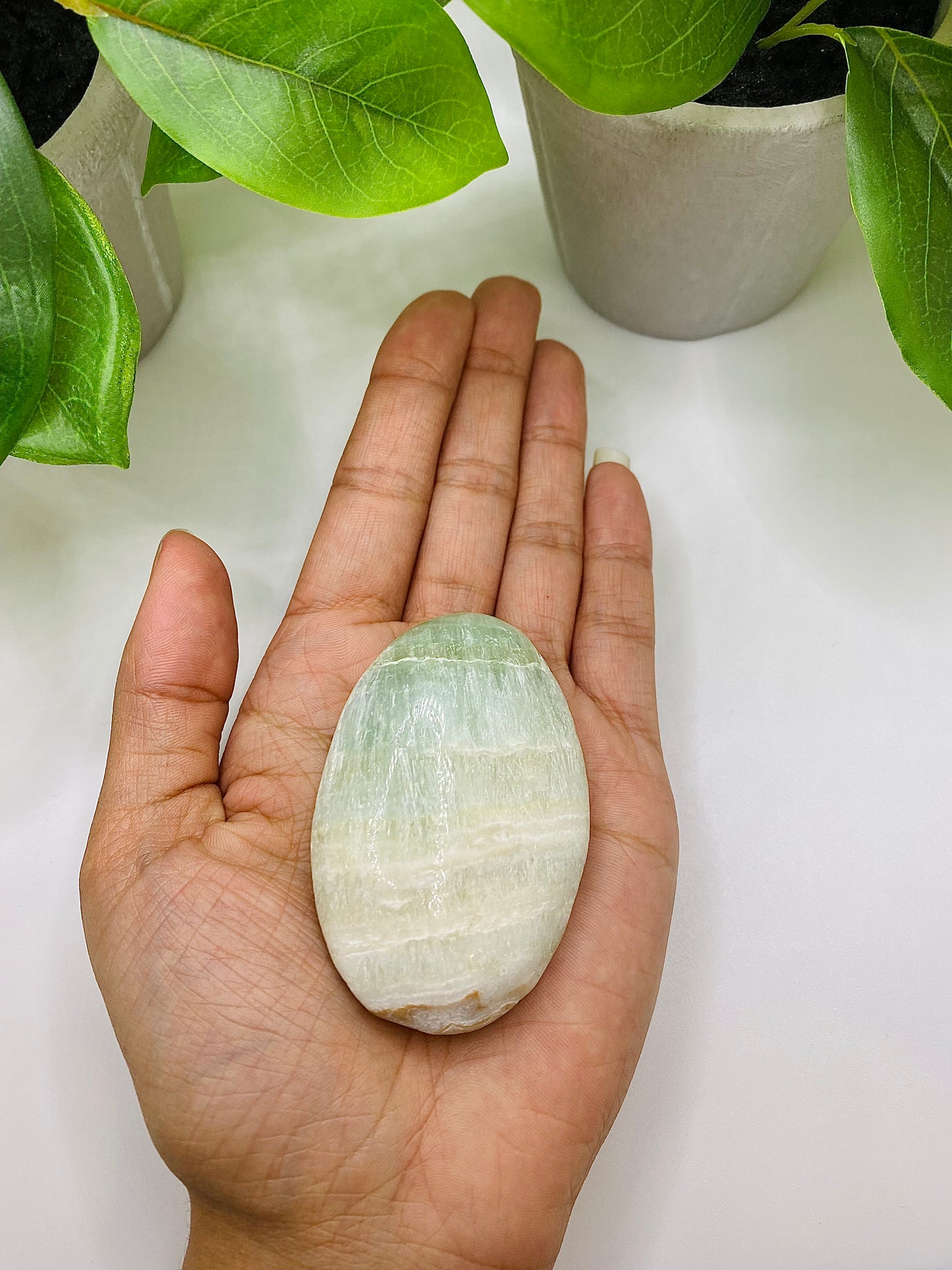 Caribbean Calcite Palm Stone